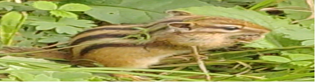 1693830599140967.png 1693830599140967.png